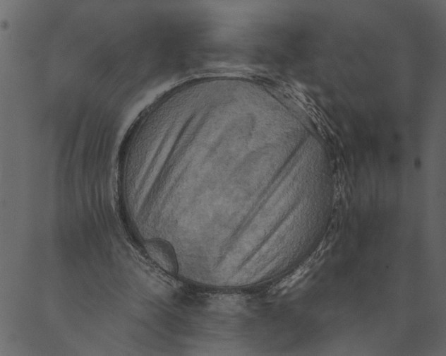 X0000089670342200707121229