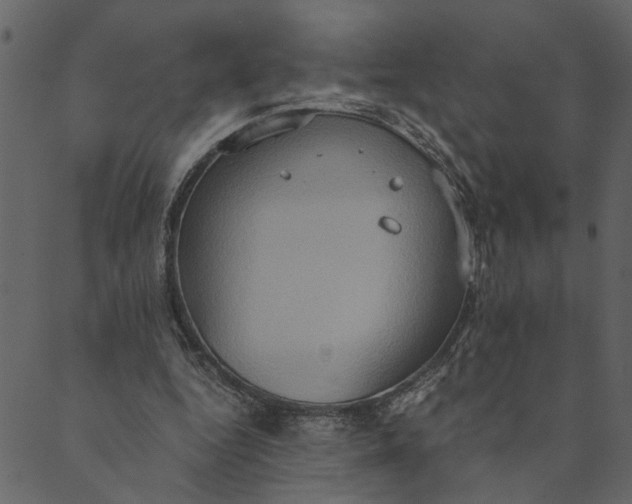 X0000089670344200707121229