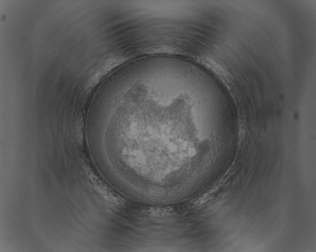 X0000089670345200707121229