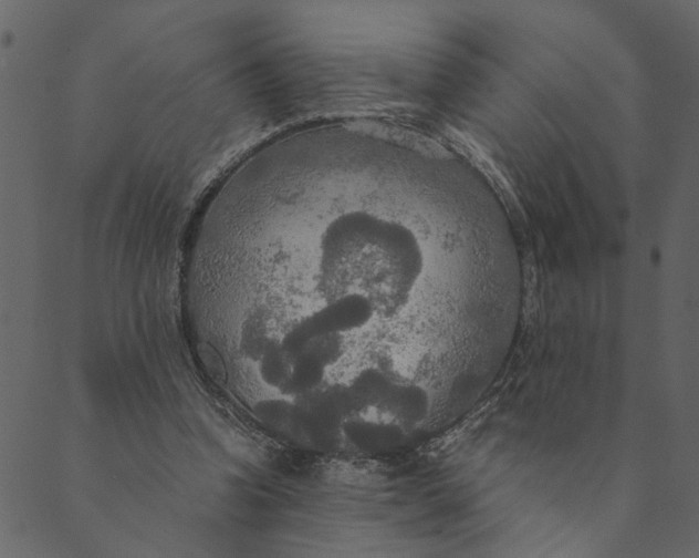 X0000089670346200707121229