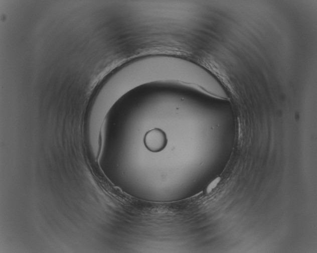 X0000089670348200707121229