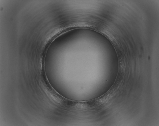 X0000089670350200707121229