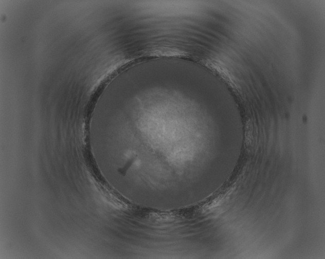 X0000089670351200707121229