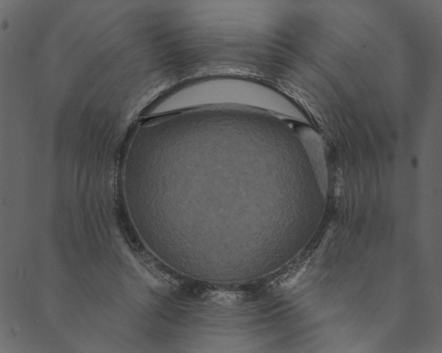 X0000089670352200707121229