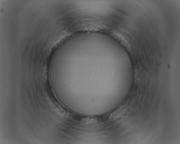 X0000089670354200707121229