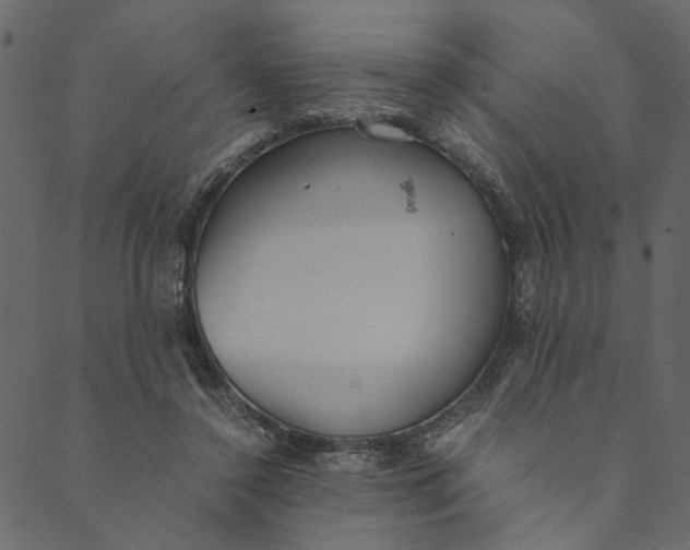 X0000089670356200707121229