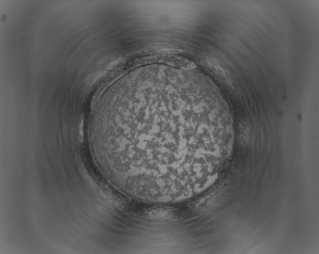 X0000089670358200707121230