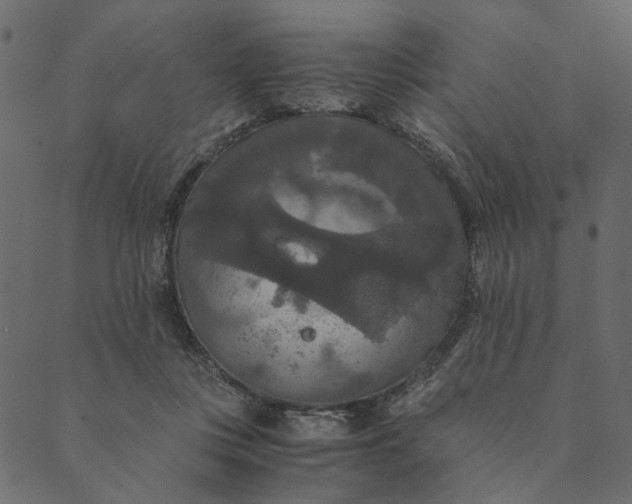 X0000089670359200707121230