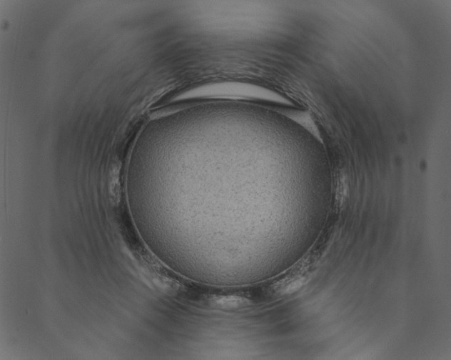 X0000089670360200707121230