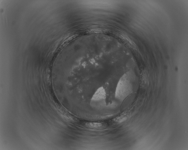 X0000089670361200707121230