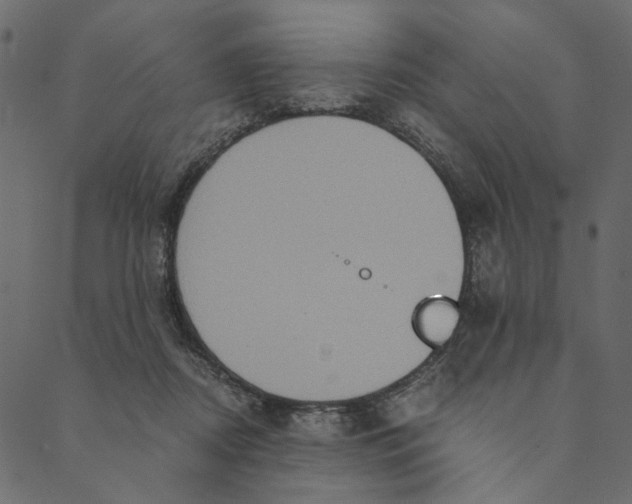 X0000089670362200707121230