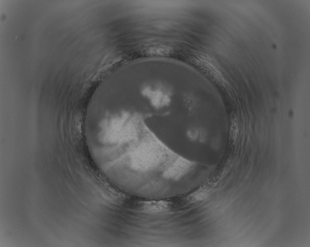 X0000089670363200707121230