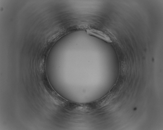 X0000089670364200707121230