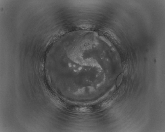 X0000089670365200707121230