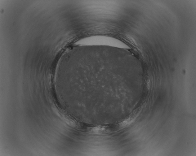 X0000089670366200707121230