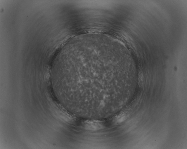 X0000089670367200707121230