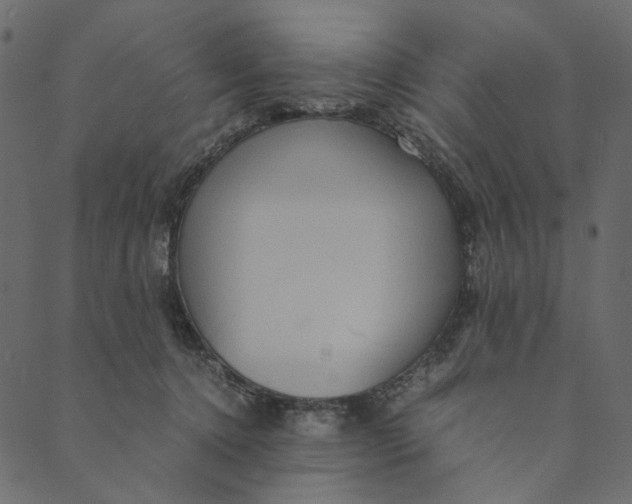 X0000089670368200707121230