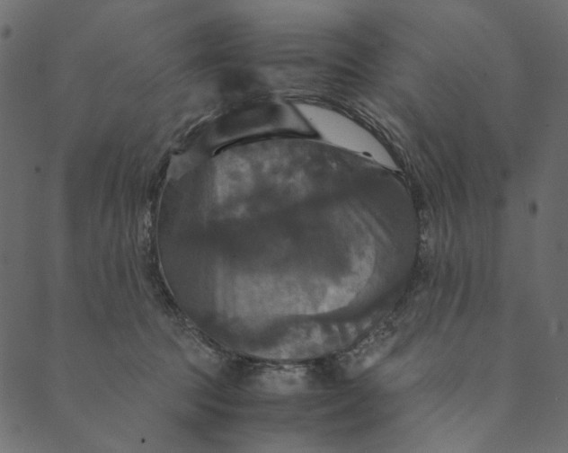 X0000089670369200707121230