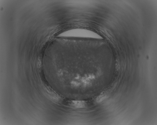 X0000089670371200707121230