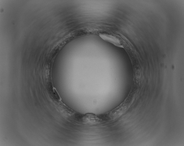 X0000089670372200707121230