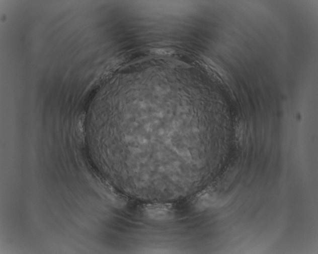 X0000089670373200707121230