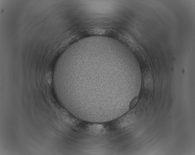 X0000089670374200707121230