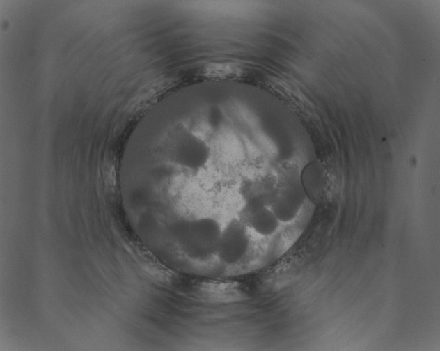 X0000089670375200707121230