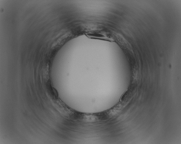 X0000089670376200707121230