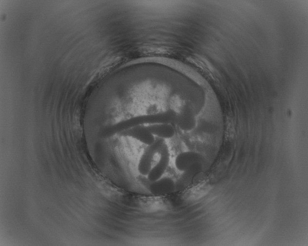 X0000089670377200707121230