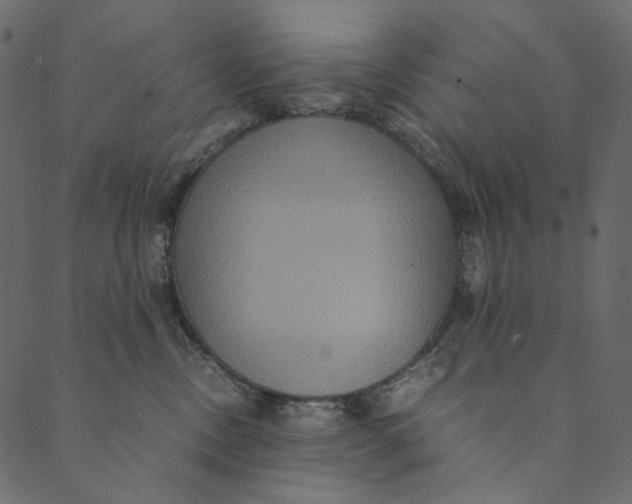 X0000089670378200707121230