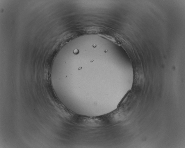 X0000089670379200707121230