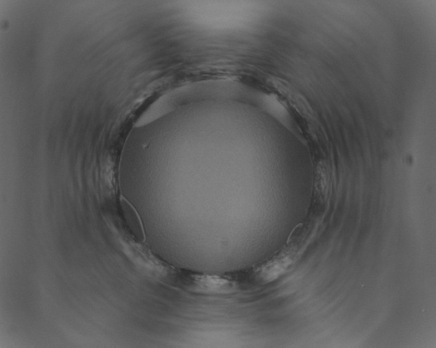 X0000089670380200707121230