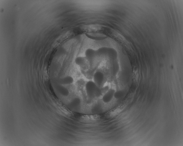 X0000089670381200707121230