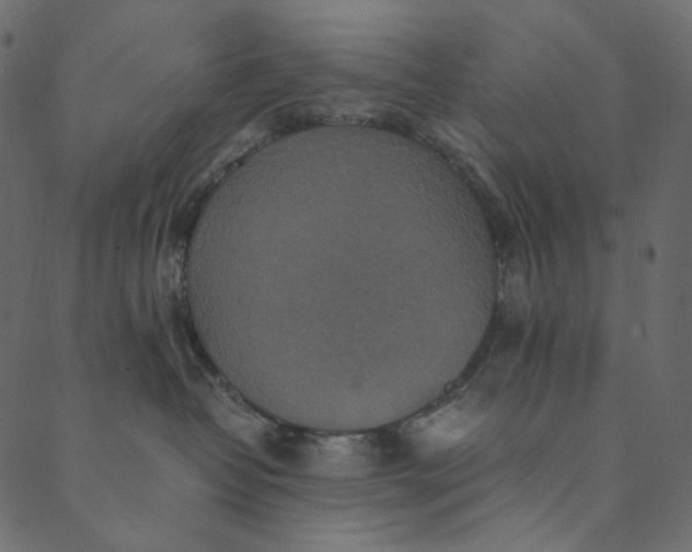 X0000089670382200707121230