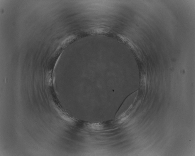 X0000089670383200707121230