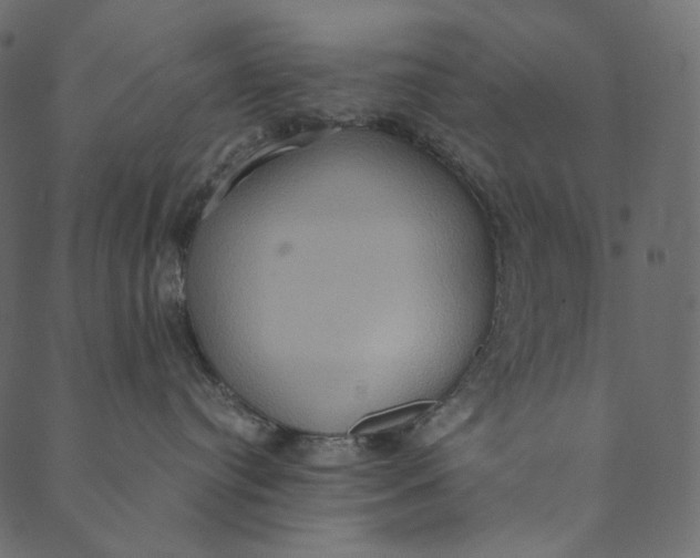 X0000089670384200707121230