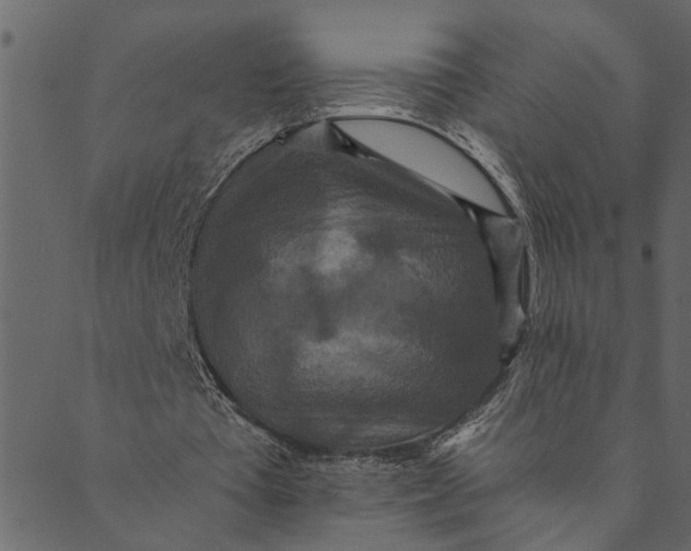 X0000089670385200707121229