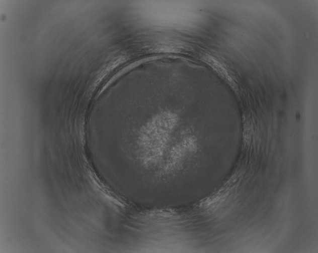 X0000089670386200707121229