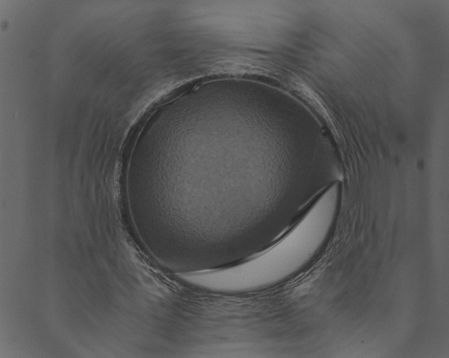 X0000089670387200707121229