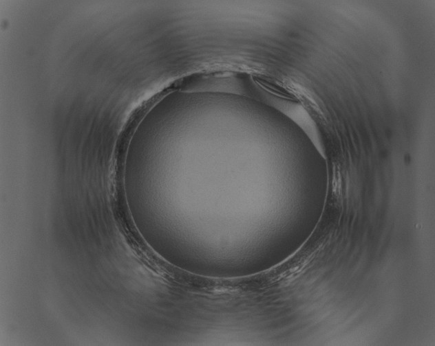 X0000089670388200707121229