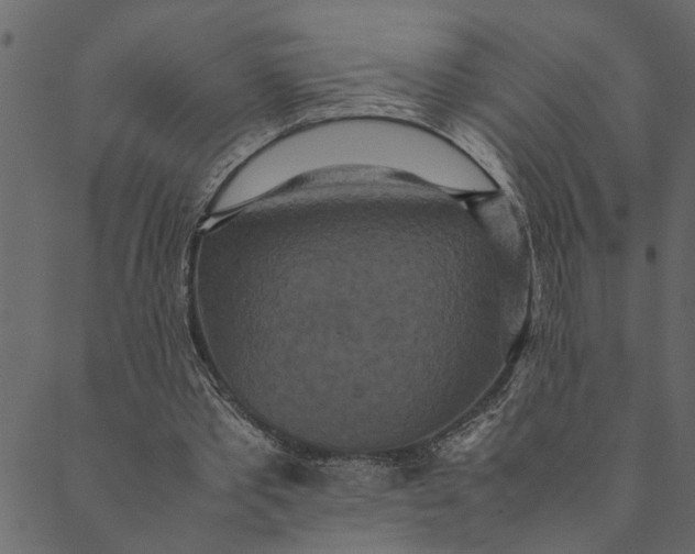 X0000089670389200707121229