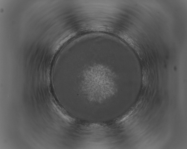 X0000089670390200707121229