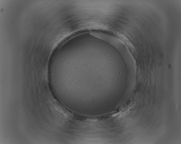 X0000089670391200707121229