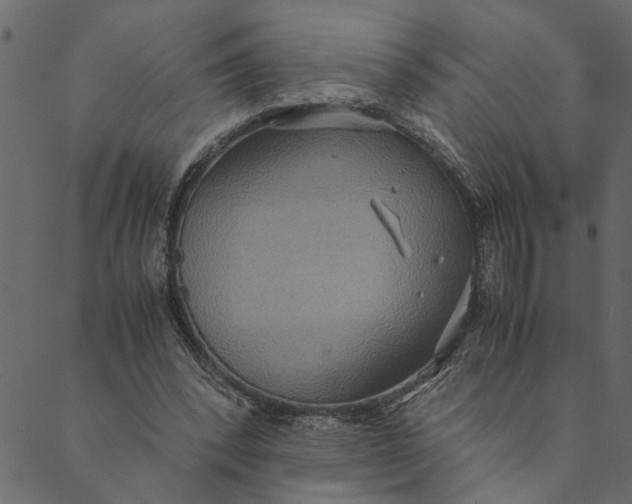 X0000089670392200707121229