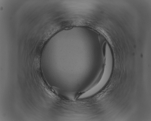 X0000089670393200707121229