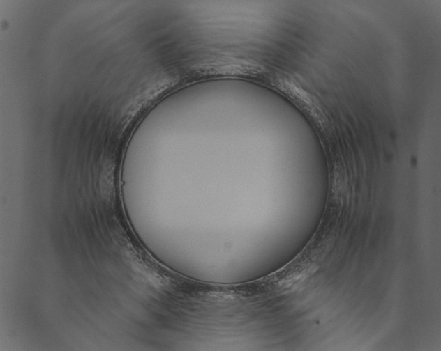 X0000089670394200707121229