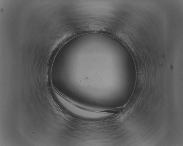 X0000089670395200707121229