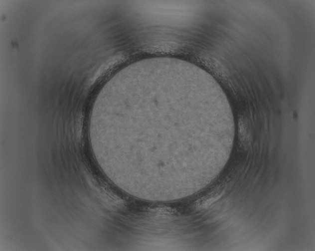 X0000089670396200707121229