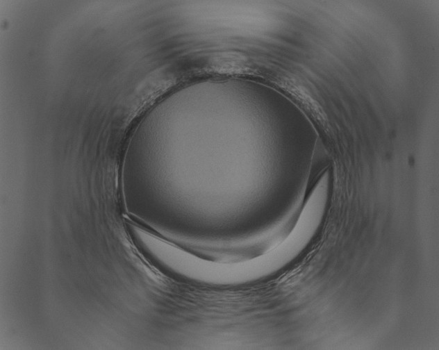 X0000089670397200707121229