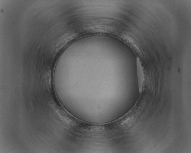 X0000089670398200707121229